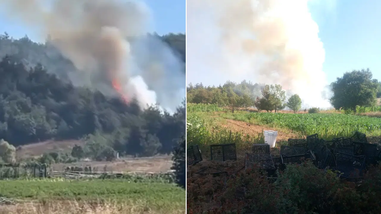 Bursa’da Orman Yangını: Ekipler Müdahaleye Devam Ediyor
