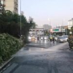 Şişli’de ağaçlık alanda çıkan yangın korkuttu