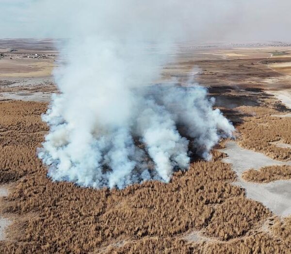 Konya’nın kuruyan Gökgöl sazlıkları alev alev!