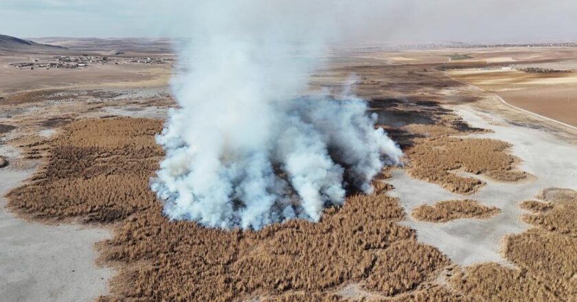 Konya’nın kuruyan Gökgöl sazlıkları alev alev!