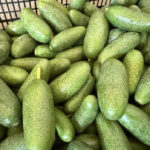 Antalya’nın Ürünleri Dünya Pazarında: Rekolte Beklentisi Rekor Kırıyor!