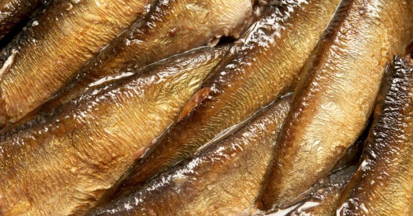 Hafızayı Canlandıran 8 Vitamin: Beyin Yaşlanmasına Karşı Etkili Çözümler