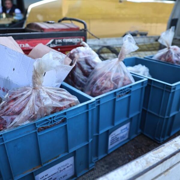 Otobüsün bagajında tonlarca kaçak et ele geçirildi!